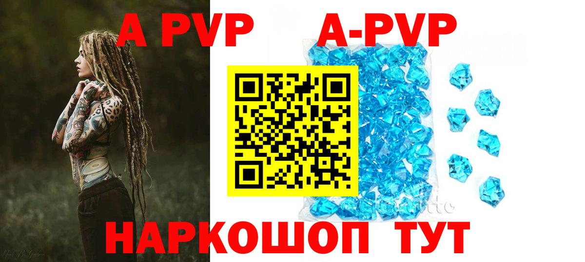 Alfa_PVP СК КРИС Кандалакша
