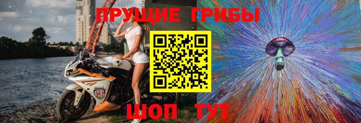 Галлюциногенные грибы прущие грибы Кандалакша